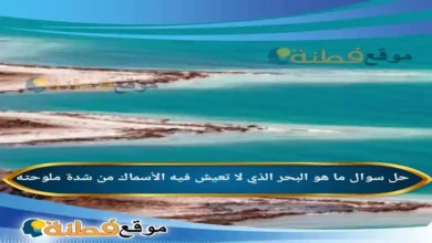 ما هو البحر الذي لا تعيش فيه الأسماك من شدة ملوحته