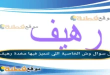 وش الخاصية اللي تتميّز فيها مخدة رهيف