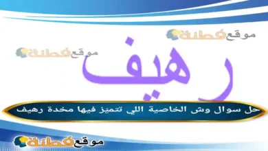 وش الخاصية اللي تتميّز فيها مخدة رهيف