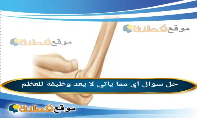 أي مما يأتي لا يعد وظيفة للعظم