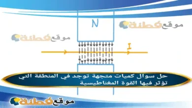 كميات متجهة توجد في المنطقة التي تؤثر فيها القوة المغناطيسية