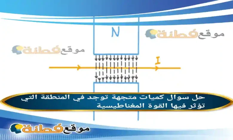 كميات متجهة توجد في المنطقة التي تؤثر فيها القوة المغناطيسية