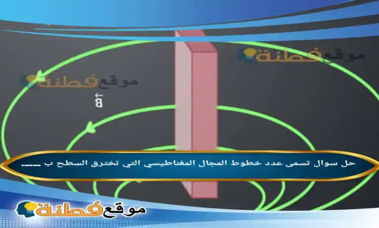 تسمى عدد خطوط المجال المغناطيسي التي تخترق السطح ب .......