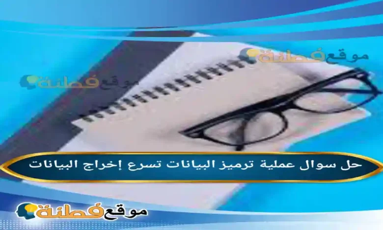 عملية ترميز البيانات تسرع إخراج البيانات