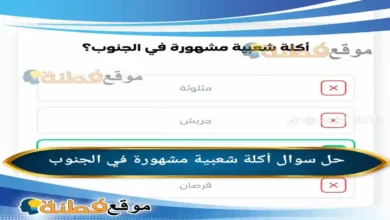 أكلة شعبية مشهورة في الجنوب