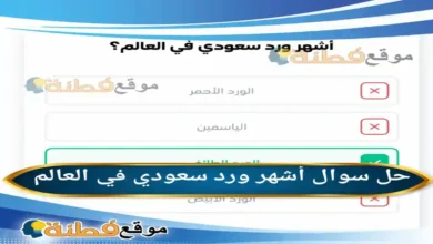 أشهر ورد سعودي في العالم