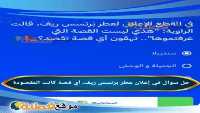 في إعلان عطر برنسس ريف، أي قصة كانت المقصودة
