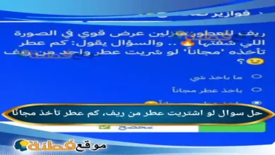 لو اشتريت عطر من ريف، كم عطر تأخذ مجانًا