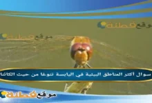 أكثر المناطق البيئية في اليابسة تنوعًا من حيث الكائنات