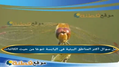 أكثر المناطق البيئية في اليابسة تنوعًا من حيث الكائنات