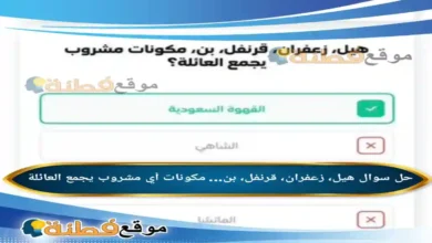 هيل زعفران قرنفل بن مكونات أي مشروب يجمع العائلة