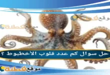 كم عدد قلوب الأخطبوط ؟