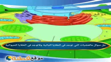 مالعضيات التي توجد في الخلايا النباتية ولاتوجد في الخلايا الحيوانية؟