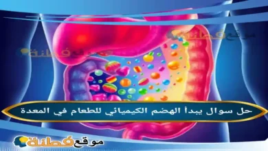 يبدأ الهضم الكيميائي للطعام في المعدة