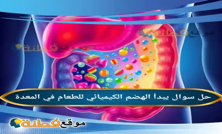يبدأ الهضم الكيميائي للطعام في المعدة