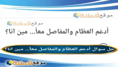 أدعم العظام والمفاصل معاً... مين انا؟