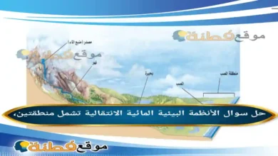 الأنظمة البيئية المائية الانتقالية تشمل منطقتين،