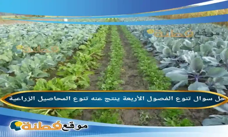 تنوع الفصول الأربعة ينتج عنه تنوع المحاصيل الزراعية