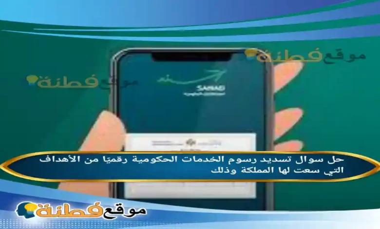 تسديد رسوم الخدمات الحكومية رقميًا من الأهداف التي سعت لها المملكة وذلك لأجل