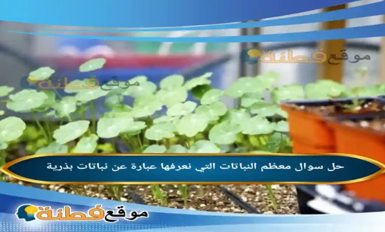 معظم النباتات التي نعرفها عبارة عن نباتات بذرية