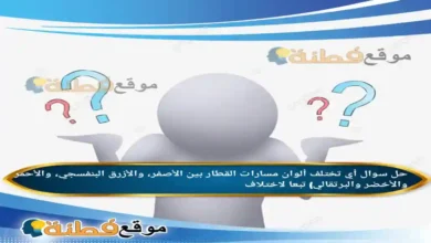 تختلف ألوان مسارات القطار بين الأصفر، والأزرق البنفسجي، والأحمر والأخضر والبرتقالي) تبعا لاختلاف