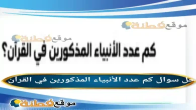 كم عدد الأنبياء المذكورين في القرآن