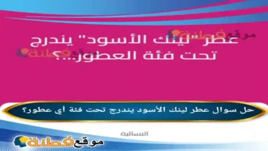 عطر لينك الأسود يندرج تحت فئة أي عطور؟