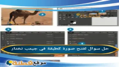 لفتح صورة كطبقة في جيمب نختار