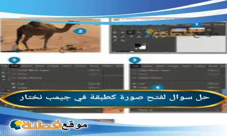 لفتح صورة كطبقة في جيمب نختار