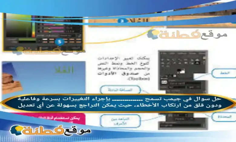في جيمب تسمح ............... بإجراء التغييرات بسرعة وفاعلية ودون قلق من ارتكاب الأخطاء، حيث يمكن التراجع بسهولة عن أي تعديل