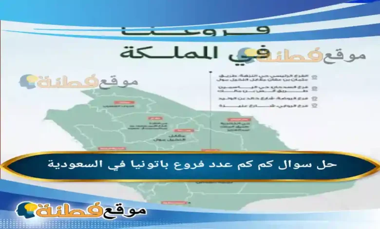 كم عدد فروع باتونيا