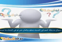 حل فزورة فريش ده بتكة الجو في الصيف يحلو، وكمان بقى لو في الشتاء ما تبردش