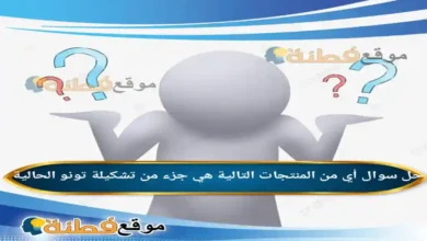 أي من المنتجات التالية هي جزء من تشكيلة تونو الحالية