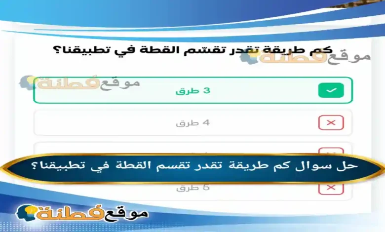 كم طريقة تقدر تقسم القطة في تطبيقنا؟