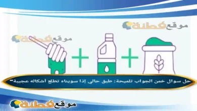 تلميحة: طبق حالي إذا سويناه تطلع أشكاله عجيبة"