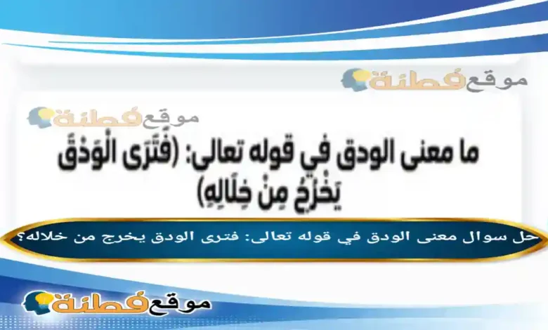 معنى الودق في قوله تعالى: فترى الودق يخرج من خلاله؟