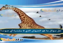 ما هو الحيوان الذي لا يصدر؟ أي صوت؟