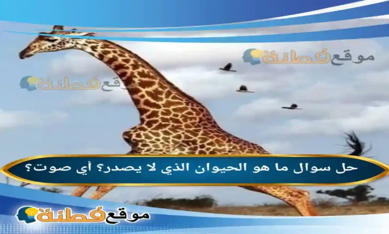 ما هو الحيوان الذي لا يصدر؟ أي صوت؟