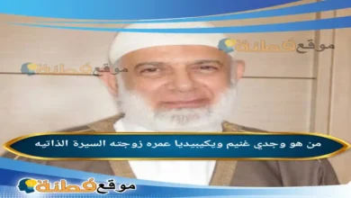 من هو وجدي غنيم ويكيبيديا سيرة الداعية المصري المثير للجدل