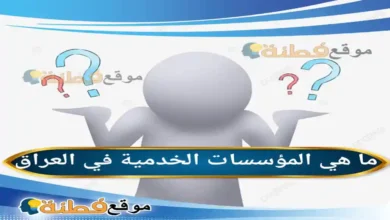 ما هي المؤسسات الخدمية في العراق