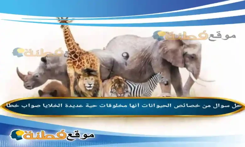 من خصائص الحيوانات أنها مخلوقات حية عديدة الخلايا صواب خطأ