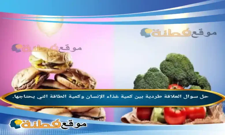 العلاقة طردية بين كمية غذاء الإنسان وكمية الطاقة التي يحتاجها.