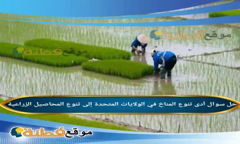 أدى تنوع المناخ في الولايات المتحدة إلى تنوع المحاصيل الزراعية