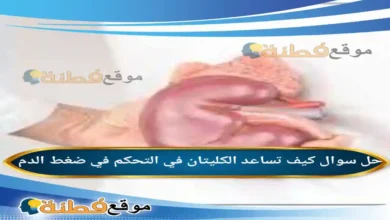 كيف تساعد الكليتان في التحكم في ضغط الدم