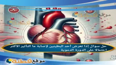 إذا تعرض أحد البطينين لإصابة ما التأثير الأكثر احتمالا على الدورة الدموية