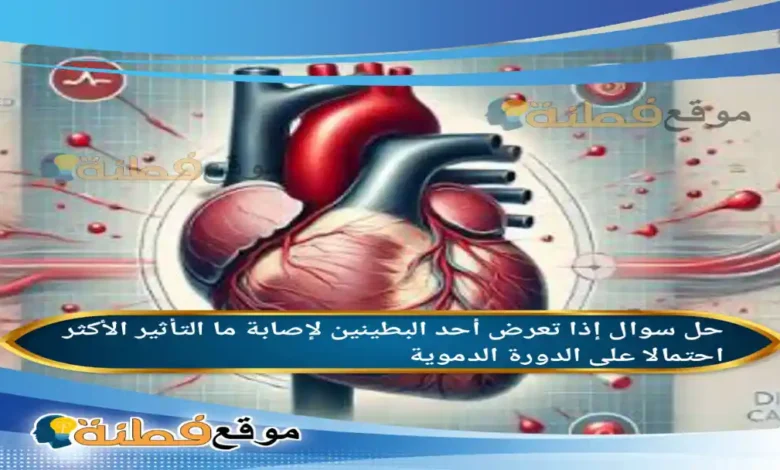 إذا تعرض أحد البطينين لإصابة ما التأثير الأكثر احتمالا على الدورة الدموية