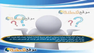 أثناء قيادة سيارة استجاب السائق بسرعة لإشارة ضوئية حمراء رأها بعينيه، فهم معناها، قرر التوقف، وضغط على المكابح مع الحفاظ على توازنه. أي تفسير يعبر بدقة عن تكامل عمل الدماغ في هذا الموقف