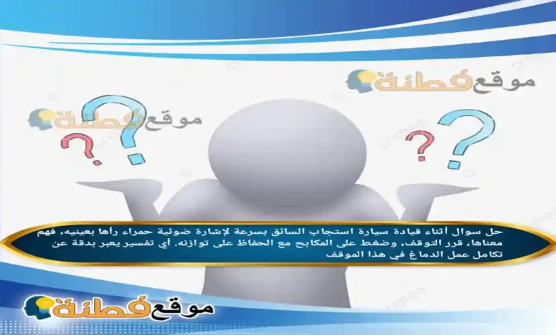 أثناء قيادة سيارة استجاب السائق بسرعة لإشارة ضوئية حمراء رأها بعينيه، فهم معناها، قرر التوقف، وضغط على المكابح مع الحفاظ على توازنه. أي تفسير يعبر بدقة عن تكامل عمل الدماغ في هذا الموقف