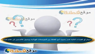 أي العبارات التالية تفسر بصورة أدق العلاقة بين الحويصلات الهوائية ووصول الأكسجين إلى خلايا الجسم