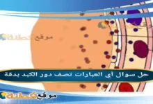 أي العبارات تصف دور الكبد بدقة